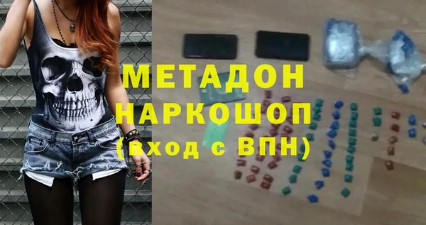 сатива Няндома