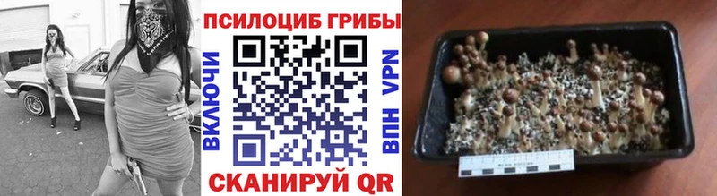 Галлюциногенные грибы GOLDEN TEACHER что такое наркотик mega рабочий сайт сайты даркнета официальный сайт Кущёвская